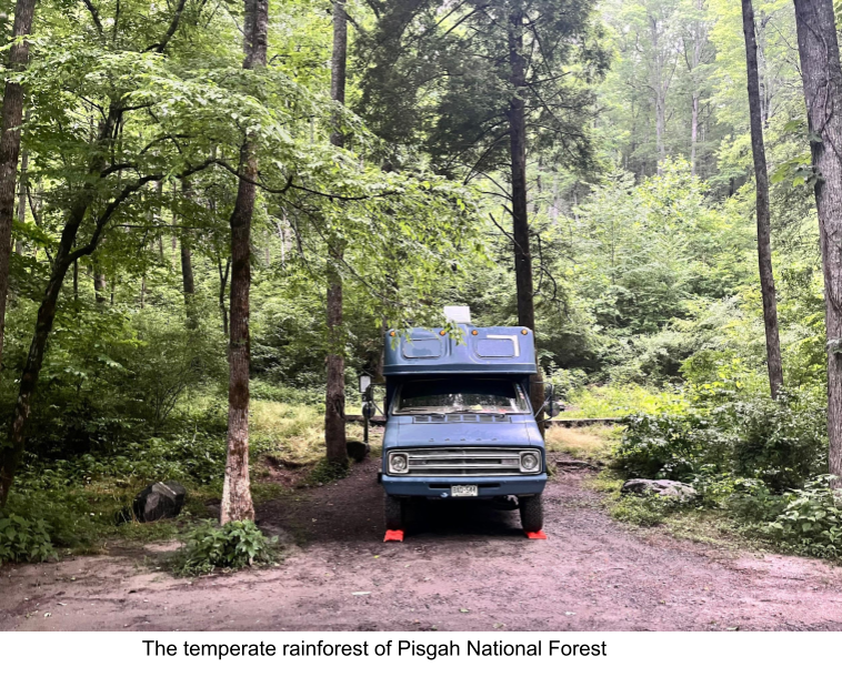 Blue RV With Red Stoppers  Parked Under Trees In The Forest