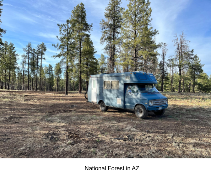 Blue RV Van Parked Next To Trees In Game Park